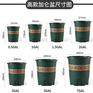 控根青山盆加仑花盆塑料加厚加仑盆托盘二代小花盆栽圆形阳台