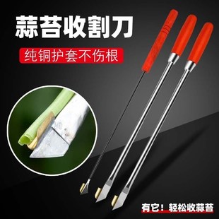 抽蒜苔神器蒜苗收割刀打蒜苔抽蒜器摘蒜苗拔剥划蒜刀割蒜苔工具