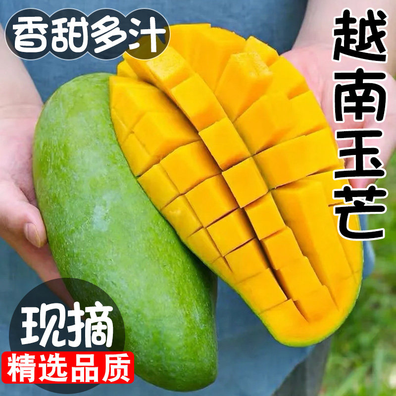 越南青玉芒新鲜当季热带水果皮薄肉厚大芒果现货速发整箱5斤包邮