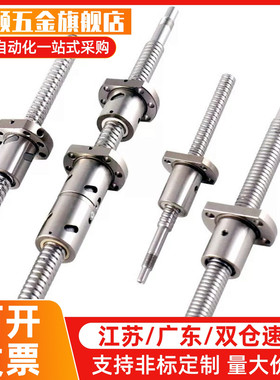 BTWE2005/2010/2020/Y200-2000滚珠丝杠轴径20导程5&midd