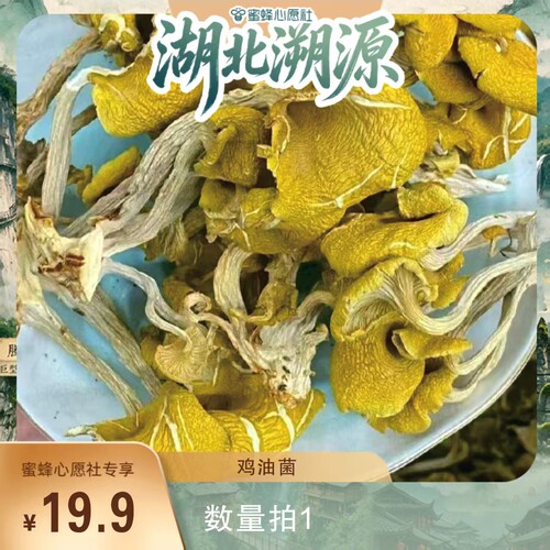 【蜜蜂心愿社】恩施高山鸡油菌干货