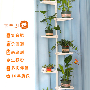 顶天立地花架子飘窗台多肉室内家用多层省空间阳台挂架客厅绿萝盆