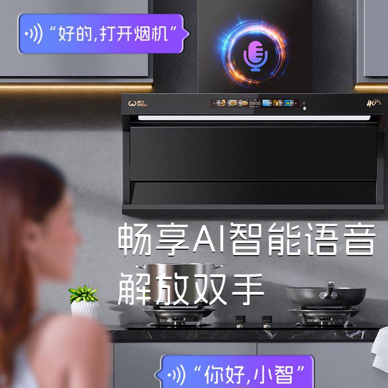 威力抽油烟机家用大吸力顶侧双吸自动清洗一级能效变频吸油烟机