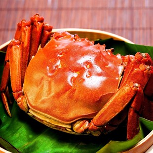 公蟹4.0 8只送2只 3.7两 2.7两 京东顺丰 母蟹3.0 活蟹江苏大闸蟹