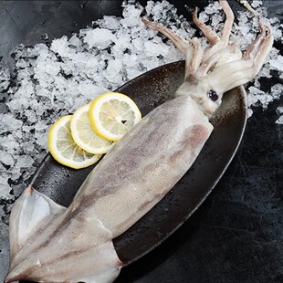 【原浆不缩水 单条独立包装】新鲜整条大鱿鱼 3斤送2斤 大份量5斤