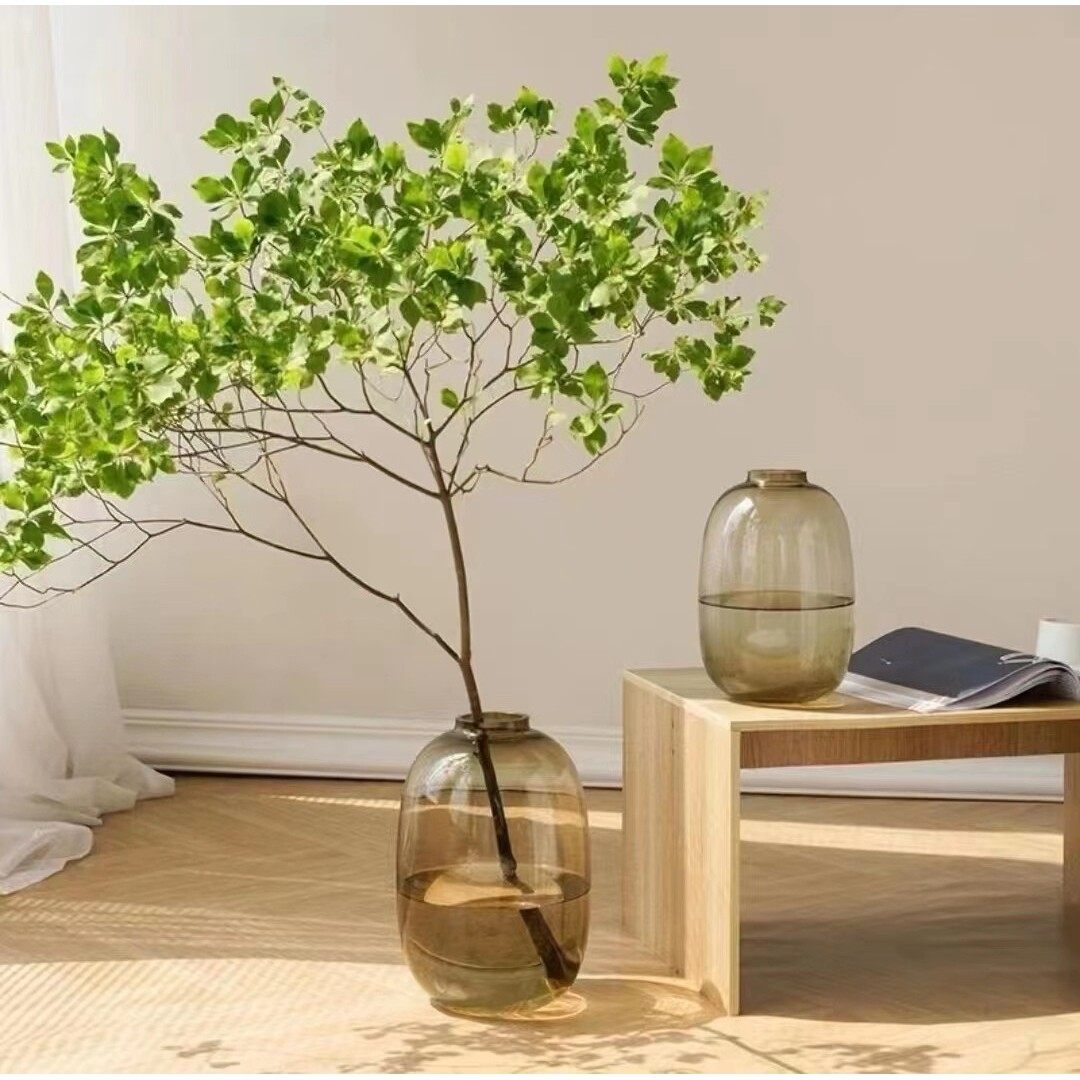 雪柳龙柳龟背竹马醉木吊钟枝条室内绿植水养简约大肚花瓶透明玻璃