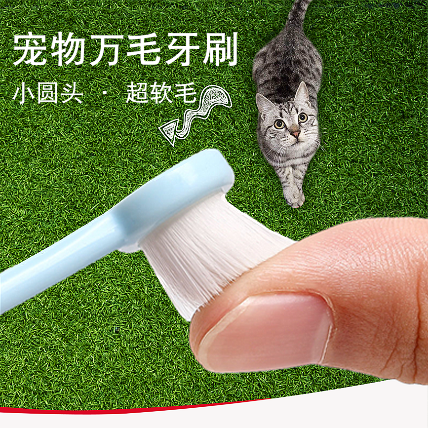 狗狗猫咪牙刷超软毛小头宠物比熊泰迪狗牙刷口腔清洁除口臭牙结石,宠物/宠物食品及用品,橡胶球/球形玩具,淘宝优惠券,粉丝福利购,淘宝优惠卷