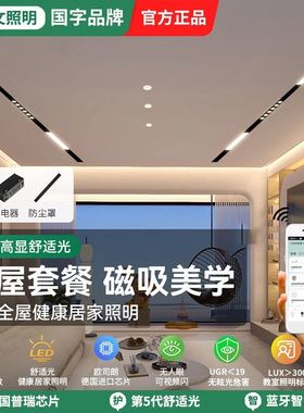 达尔文照明全光谱智能3.0厚磁吸轨道灯嵌入式预埋客厅无主灯套餐