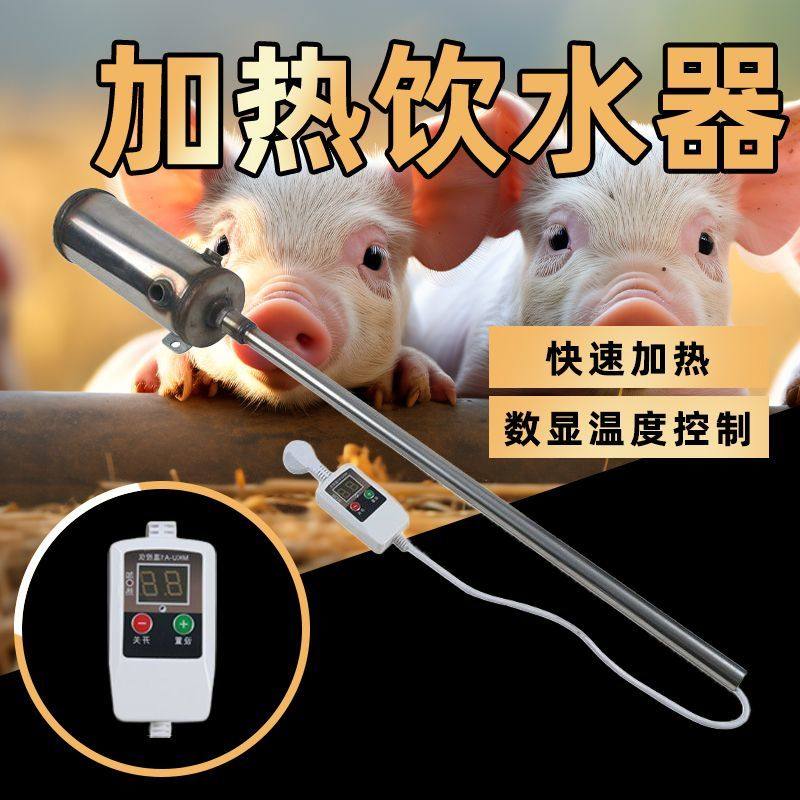 小猪用恒温加热饮水器仔猪保育猪羊用自动加热热水器产床养殖兽用,畜牧/养殖物资,畜牧/养殖器械,淘宝优惠券,粉丝福利购,淘宝优惠卷
