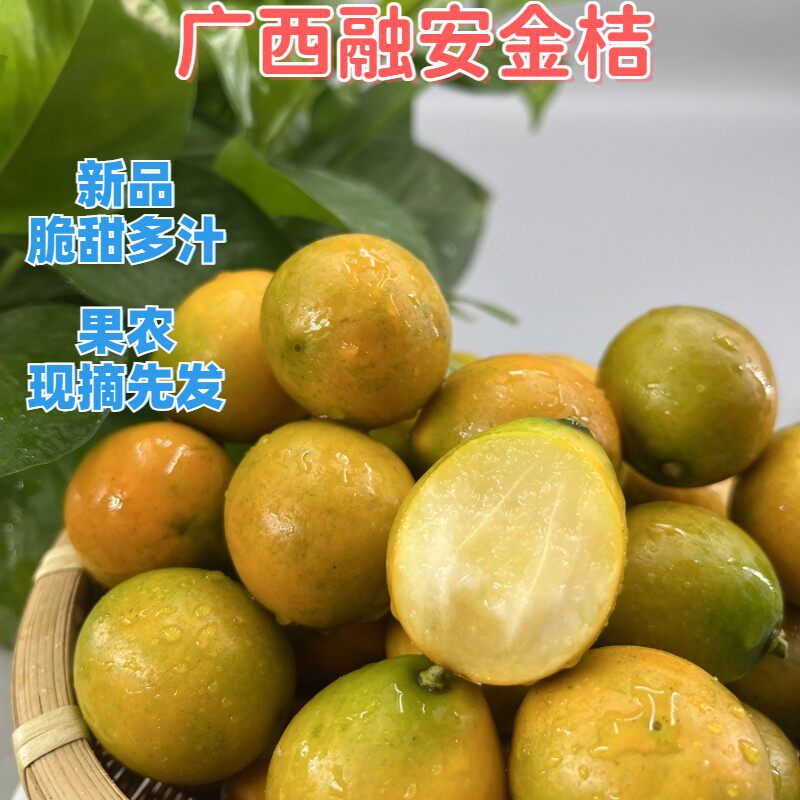 自己吃更划算第二代融安滑皮金桔纯甜不酸水果产地直发顺丰包邮