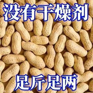 炒原味花生花生带壳500g大包装五香味蒜香味原味小珍珠花生零食坚