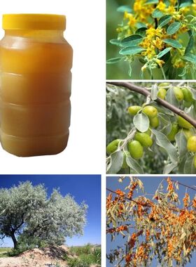 新疆蜂蜜yantak hasal新疆和田农家骆驼刺花蜂蜜 新疆和田产品的