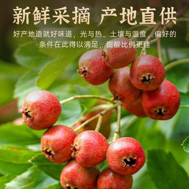 无籽山楂片干精选山楂干无核无硫去核大片纯天然中心圈山楂片泡水,零食/坚果/特产,山楂类制品,淘宝优惠券,粉丝福利购,淘宝优惠卷