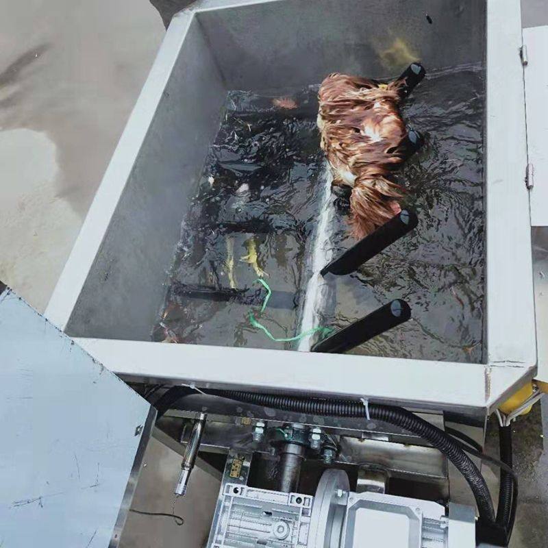 新款鸡鸭鹅烫池 家禽搅拌烫池 自动控温搅拌烫毛池乳猪狗用烫毛机
