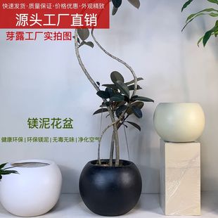 高颜值艺术镁泥圆球形客厅简约黑金刚孟加拉榕落地大型轻奢花盆