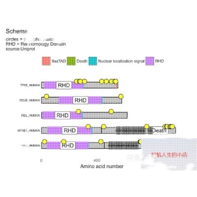 孟德尔随机化生信分析单细胞转录组多组学测序实验挖掘5-9分