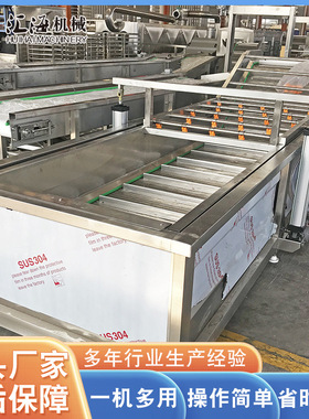 翻浪式果蔬气泡清洗机 全自动果蔬清洗机  不锈钢萝卜清洗机设备