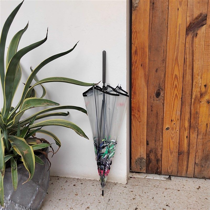 田园风塑料花色环保POE手开款透明雨雪伞特色直柄长柄直骨伞抗风,居家日用,伞,淘宝优惠券,粉丝福利购,淘宝优惠卷