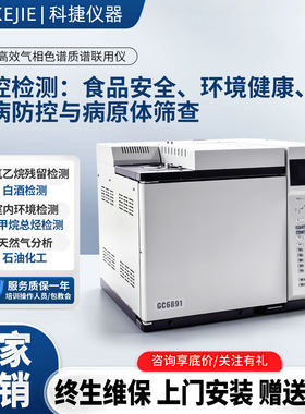 国产七氟丙烷成分气象色谱分析仪