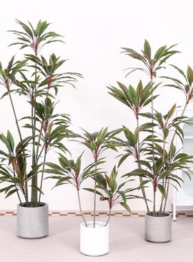 北欧仿真绿植盆栽小叶天鹅绒室内客厅假植物高端轻奢装饰摆件盆景