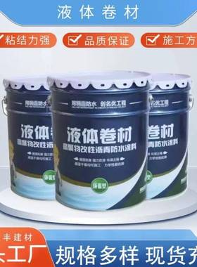 高聚物改性沥青防水聚氨酯液体卷材涂料屋顶楼顶外墙补漏屋顶防水