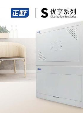 正野S系列18位+E250强弱电兼容箱空箱配电箱漏保布线电箱