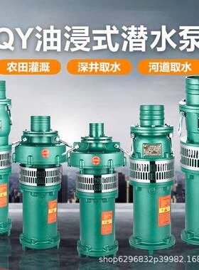 三相潜水泵油浸式喷泉泵深井取水泵3KW高扬程工程农田灌溉油浸泵
