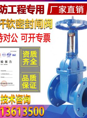 Z41X-16Q弹性座封明杆软密封法兰闸阀DN50 65 80 100 150 200 300