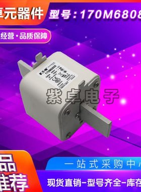 170M6762 170M6763 170M6764 170M6765 170M6766伊顿巴斯曼熔断器