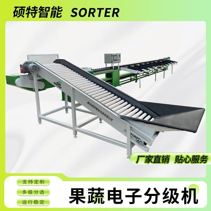 牛油果多级重量分选机 丑橘水果自动分拣机 冰糖橙在线称重选果机