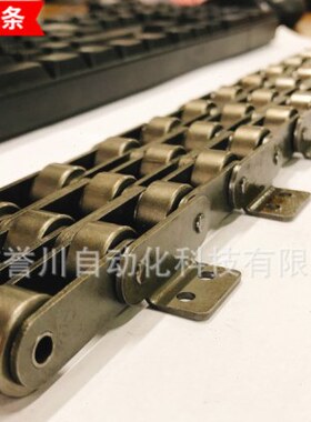 台湾TYC C2060输送线链条 C2062带耳片大滚子单排 双排 三排链条