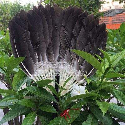 传统正宗 鹅毛扇子/羽毛扇/手摇扇/ 纳凉扇 /鹅毛扇