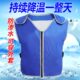 冰袋降温背心黑科技水袋马甲男款 防暑高温制冷防护服神器冰服 夏季