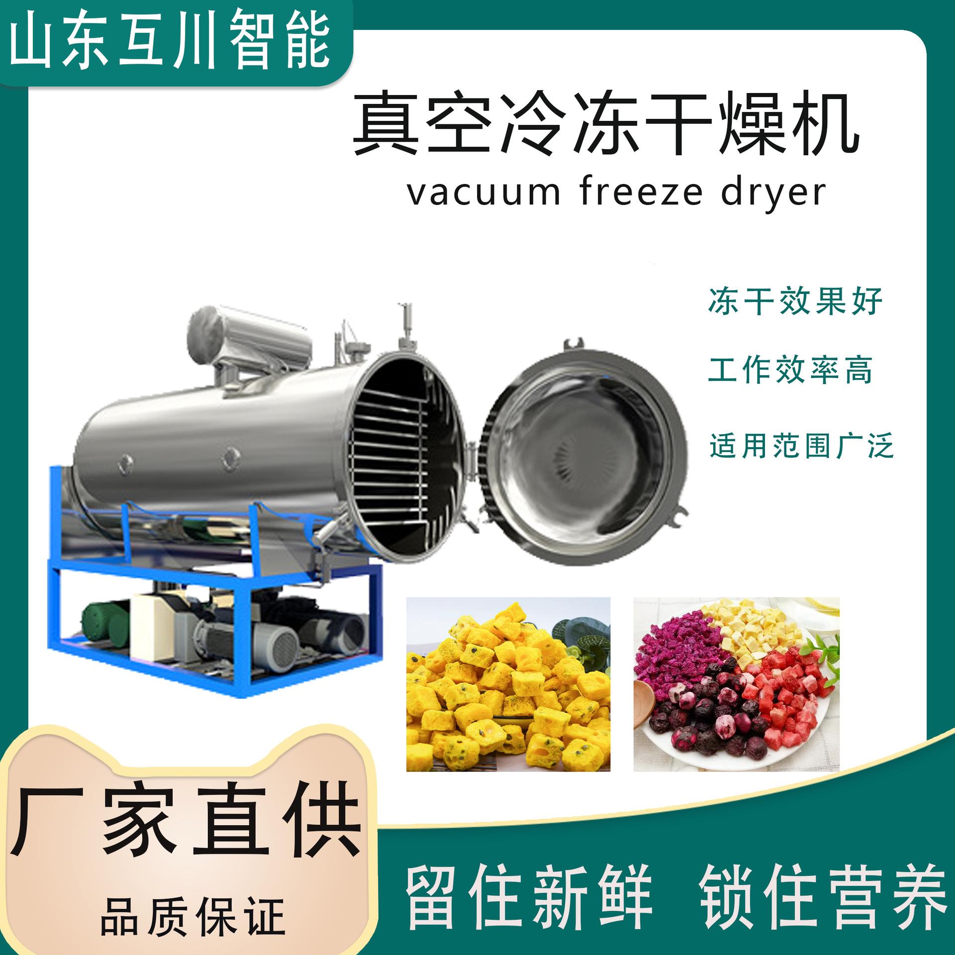 30平方真空冷冻干燥机果蔬真空冻干机山楂低温冻干设备