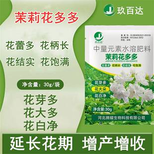 茉莉花催芽剂增产专用叶面肥细胞分裂素催花蕾多膨大素抗病水溶肥