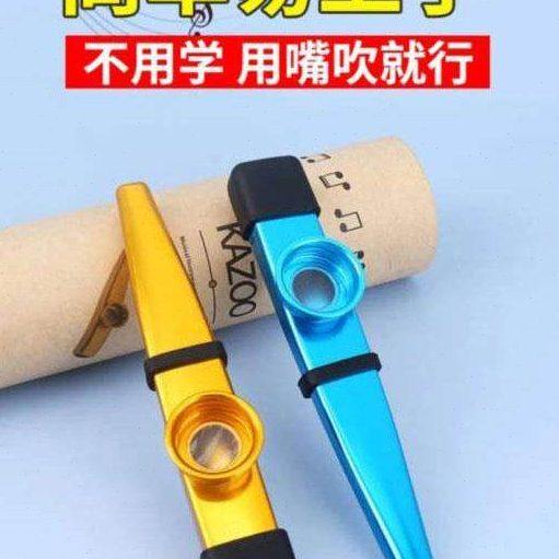 罗汇金属不用卡祖笛挡档乐器笛子专业全自动的新型伴奏学就会包邮,乐器/吉他/钢琴/配件,卡祖笛,淘宝优惠券,粉丝福利购,淘宝优惠卷
