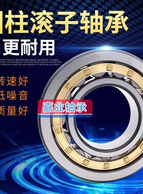 圆柱滚子轴承 N NJ NU NUP 2220 2222 2224 2226 2228 EM/C3/C4