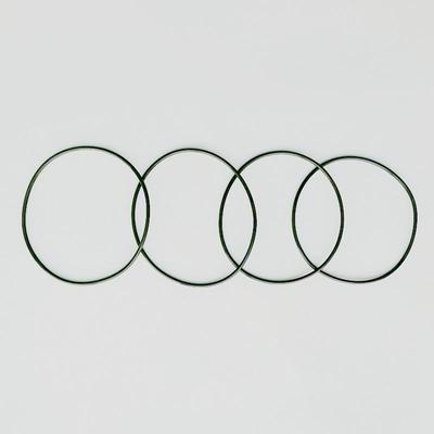 滨特尔大蓝瓶白瓶密封圈前置透明大胖滤瓶O型圈净水配件送硅脂