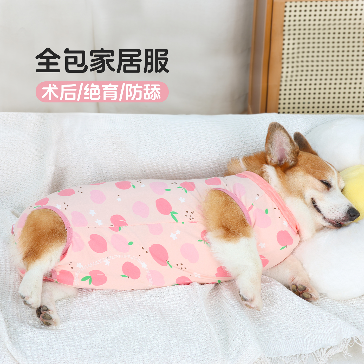 宠物狗狗衣服四脚居家服柯基衣服背心防掉毛护肚子术后防舔绝育服