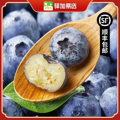 云南高山花香蓝莓酸甜爽口  产地新鲜直发