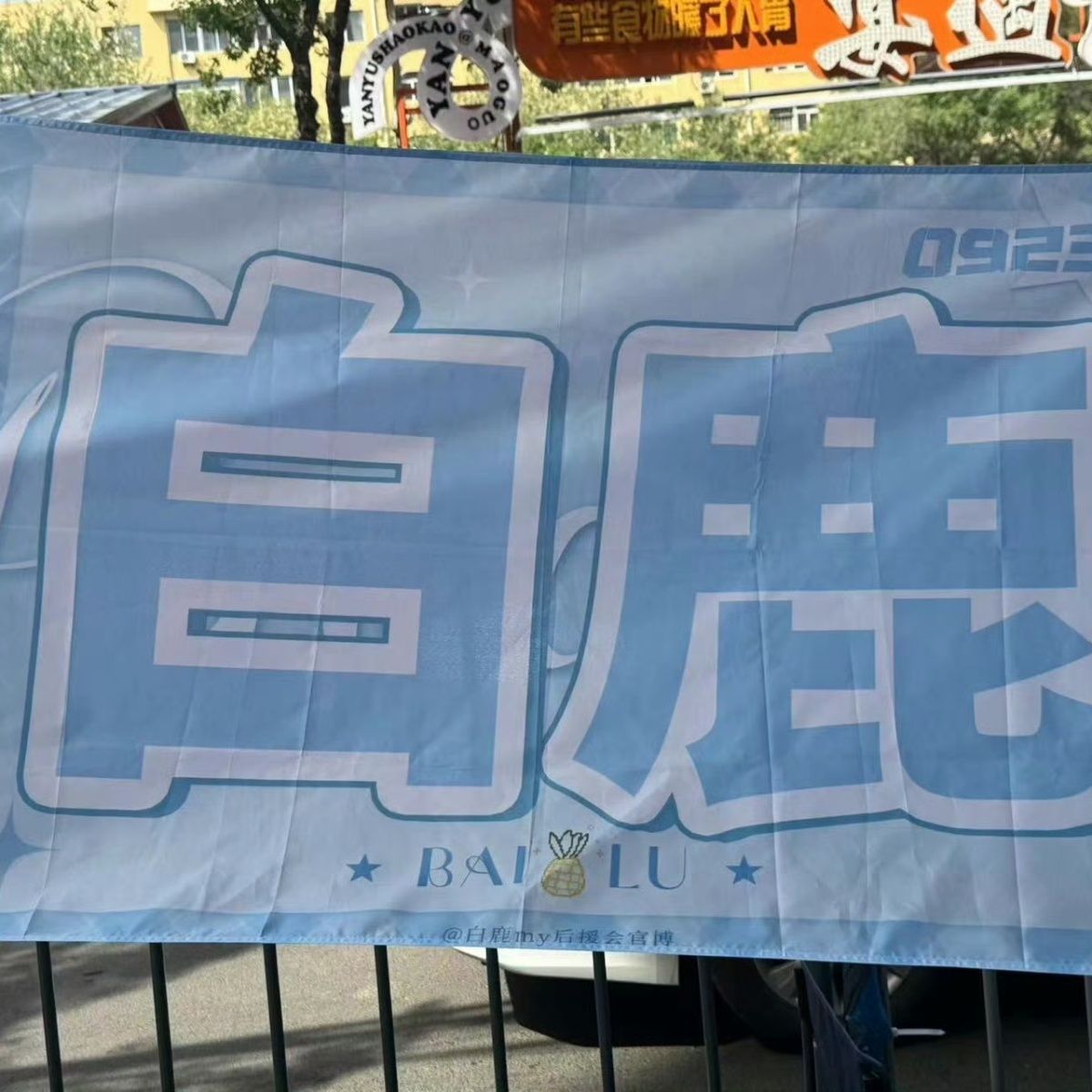 白鹿应援大旗明星应援旗帜演唱会音乐节户外应援旗定制定做