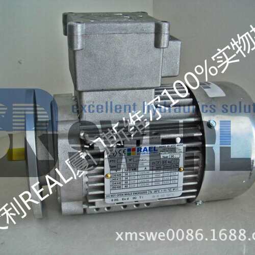 RL71A 2(RL0004) 意大利RAEL Motori Elettrici中国区服务中心