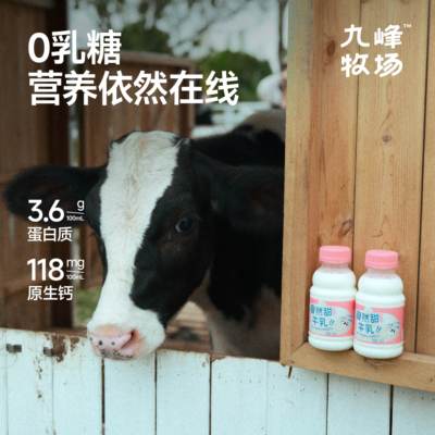 九峰零乳糖甜牛乳香芋风味牛乳