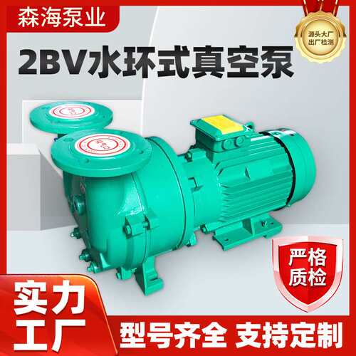 厂家直供2BV水环式真空泵工业机械用高真空水循环泵不锈钢真空泵