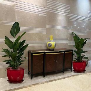 陶瓷花盆红色大口径蝴蝶兰专用盆套盆轻奢简约白色兰花盆家用绿萝