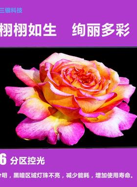 43寸miniLED分区控光高亮液晶屏 576分区 高色域广告屏 microLED