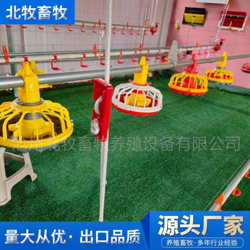 散养鸡料线全自动上料设备养鸡设备养鸡场饮水系统鸡棚自动料线