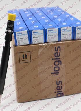 德尔福 EJBR04201D A6460700987 喷油器