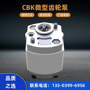 升降机提升机齿轮泵 小排量齿轮油泵CBK系列齿轮泵微型液压齿轮泵