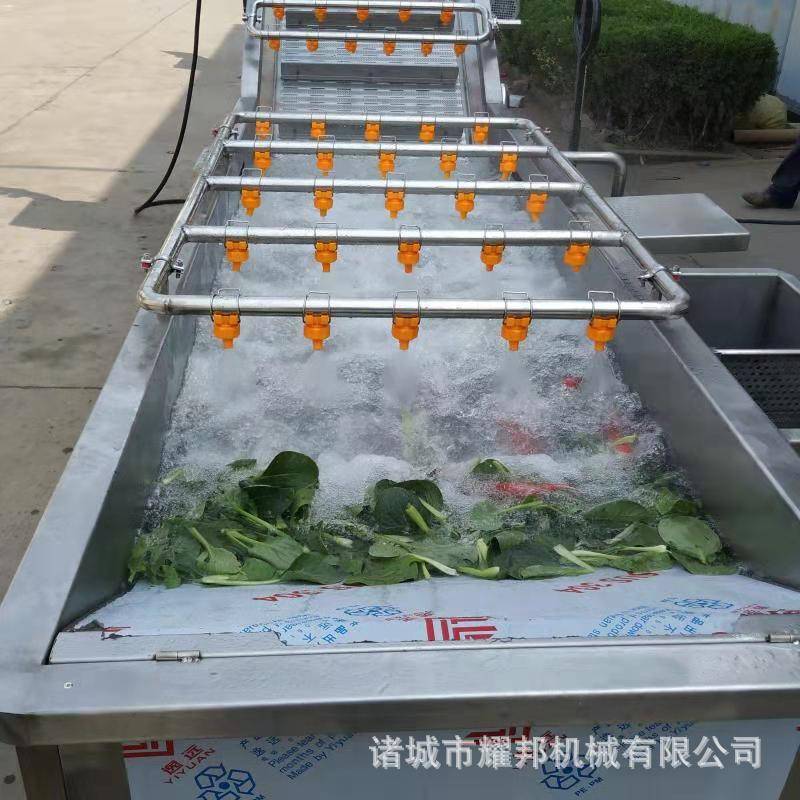 大型全自动洗菜机 气泡式果蔬清洗机 不锈钢青菜叶菜蔬菜清洗机